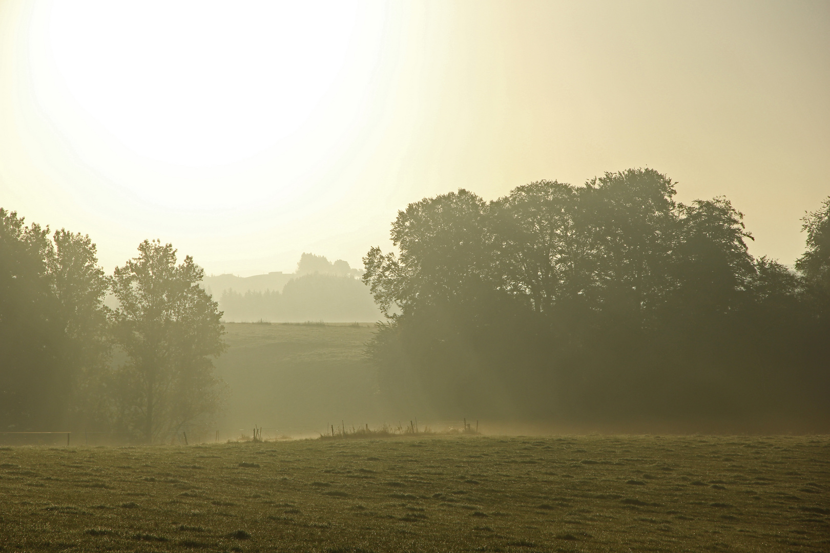 Nebel im Bergischen Land (1)