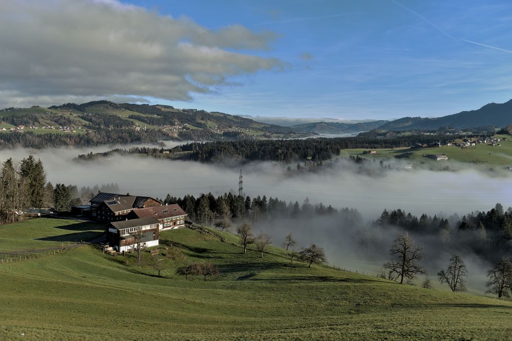 Nebel im Bregenzerwald