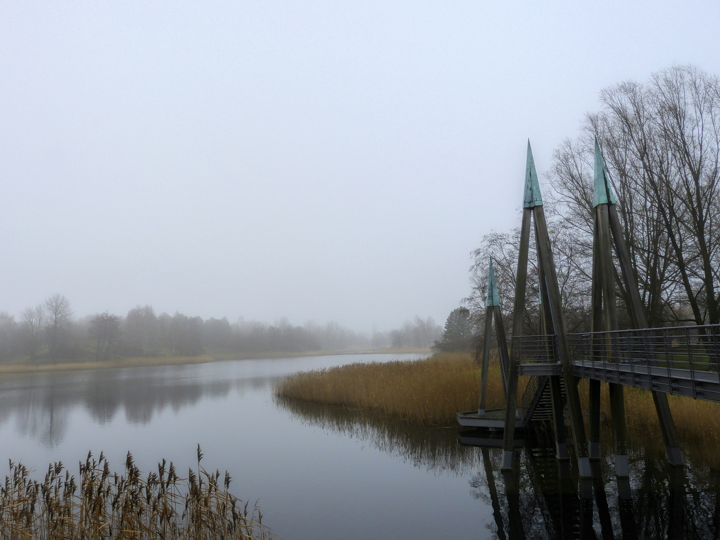 Nebel im Britzer Garten Foto & Bild landschaft, bach, fluss & see