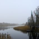 Nebel im Britzer Garten