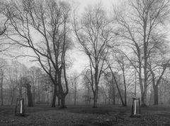 Nebel im Bürgerpark
