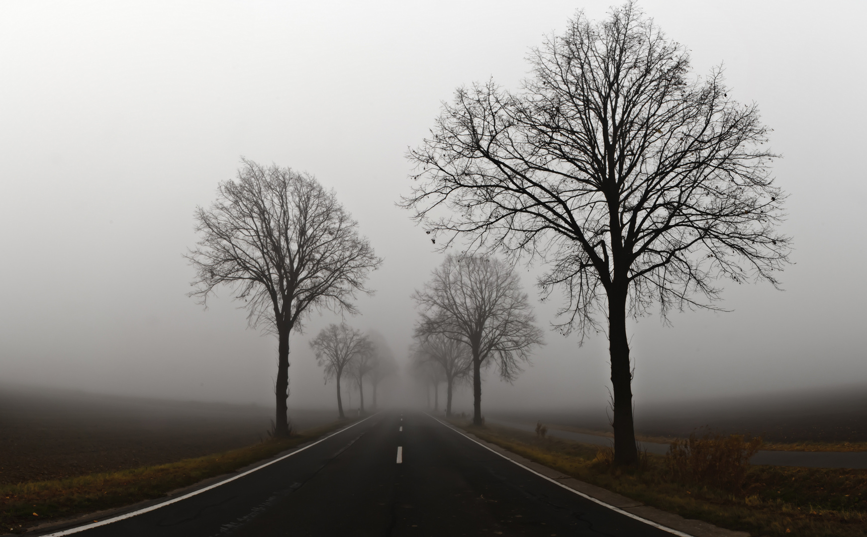 Nebel im Calenberger Land