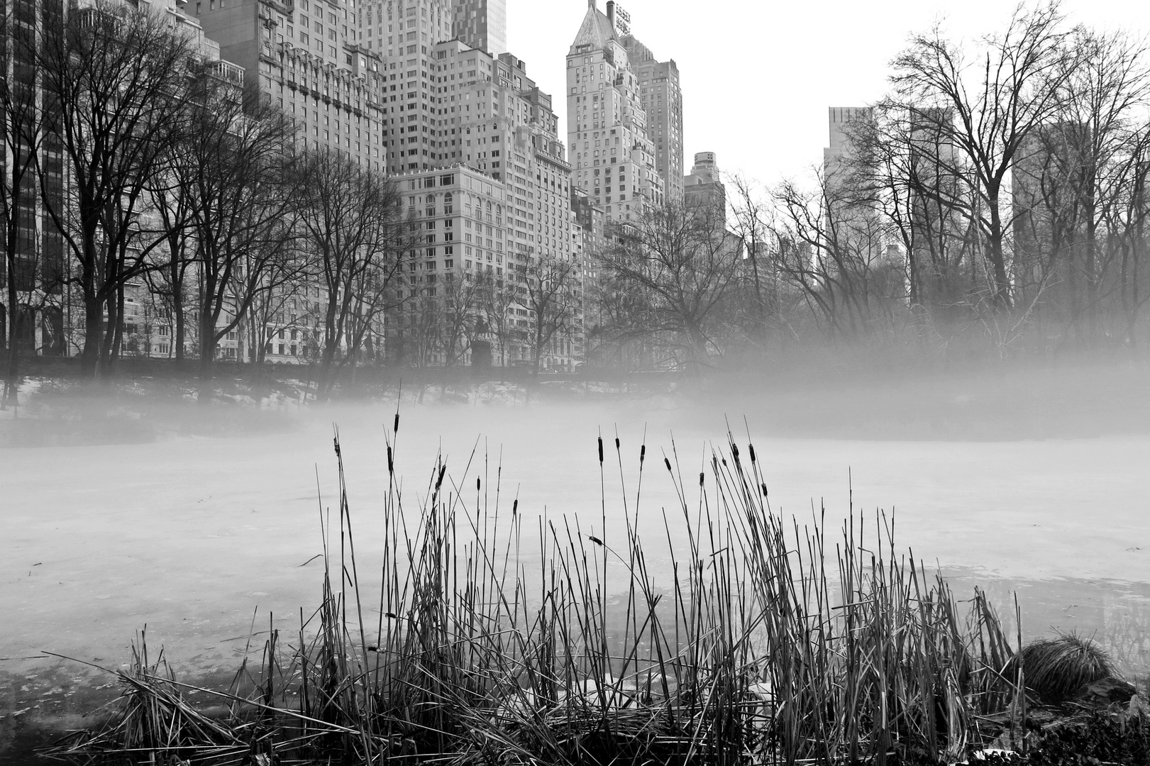 Nebel im Central Park