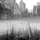 Nebel im Central Park