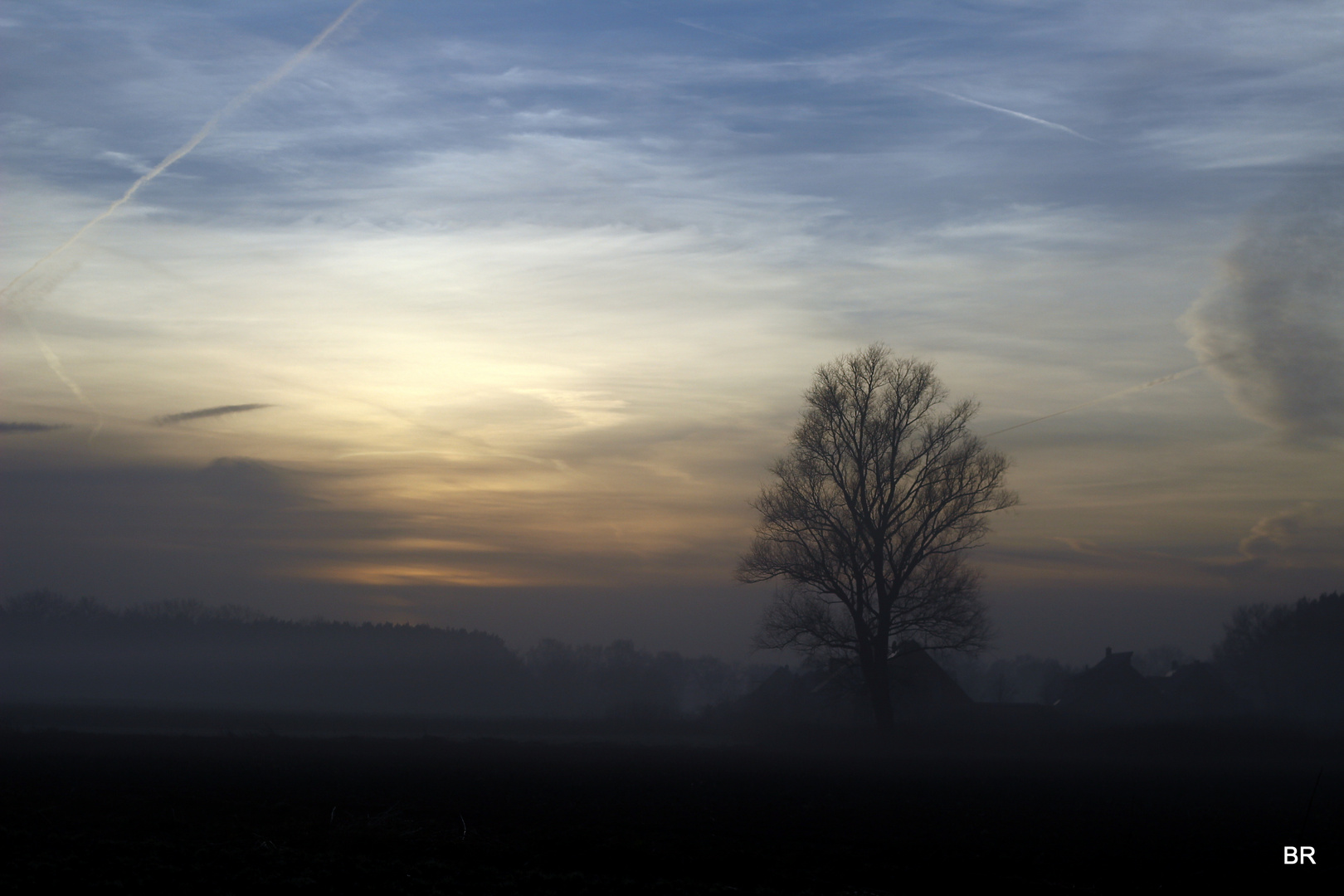 Nebel im Dezember