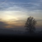 Nebel im Dezember