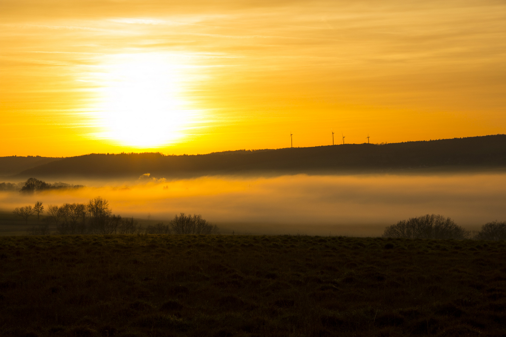 Nebel im Dezember