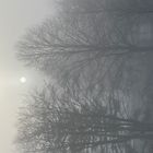 Nebel im Dezember 