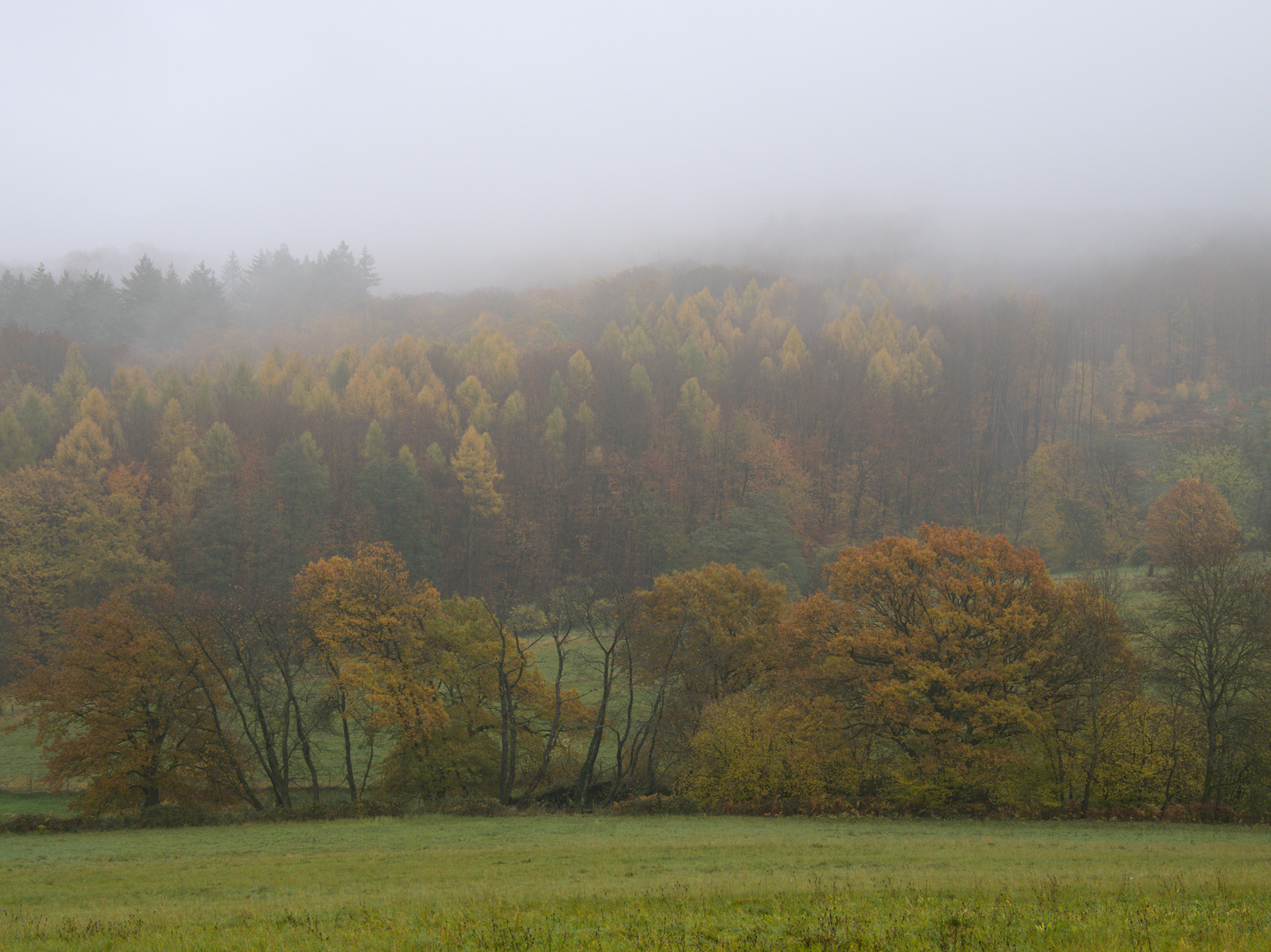 Nebel im Dezember