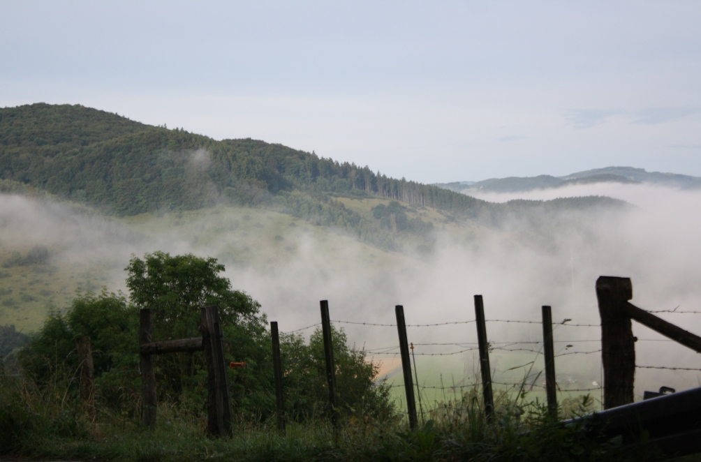 Nebel im Diemeltal 3