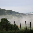 Nebel im Diemeltal 3