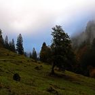 Nebel im Dietersbachtal