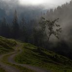 Nebel im Dietersbachtal