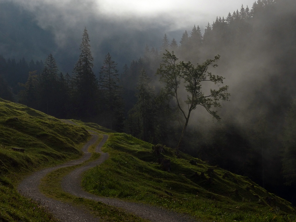 Nebel im Dietersbachtal