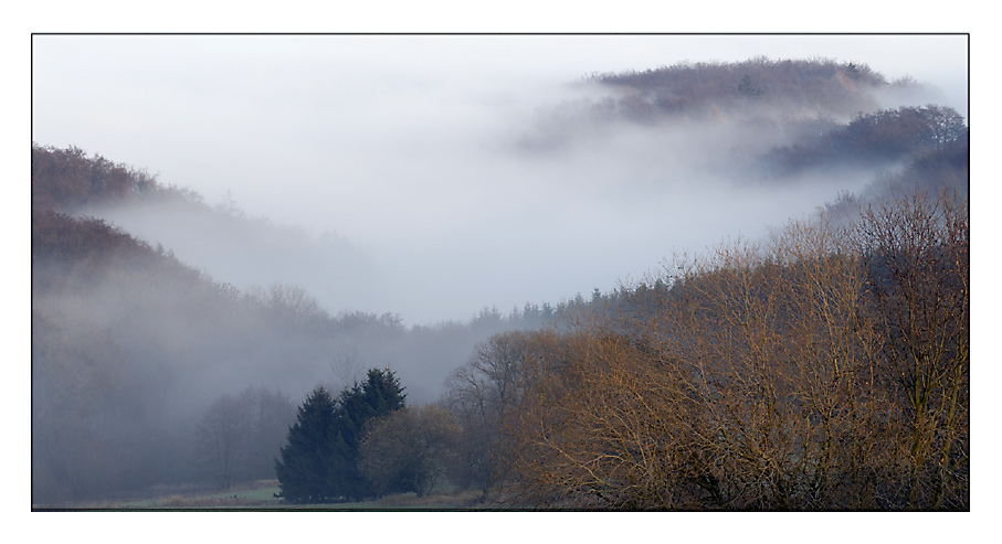 Nebel im Dilltal