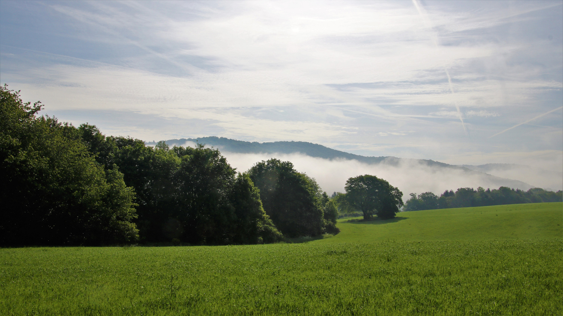 Nebel im Dilltal