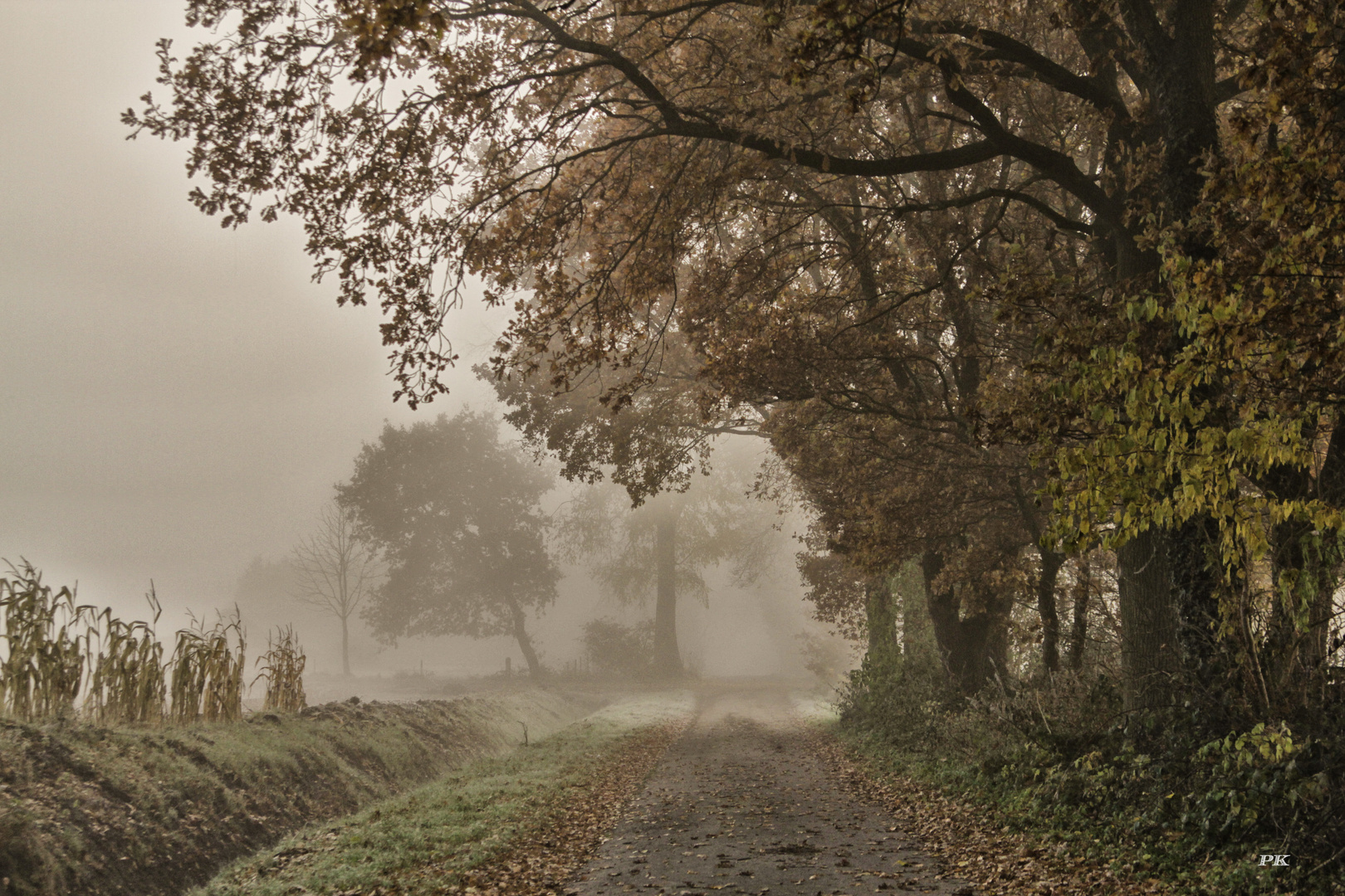 Nebel im Dorf