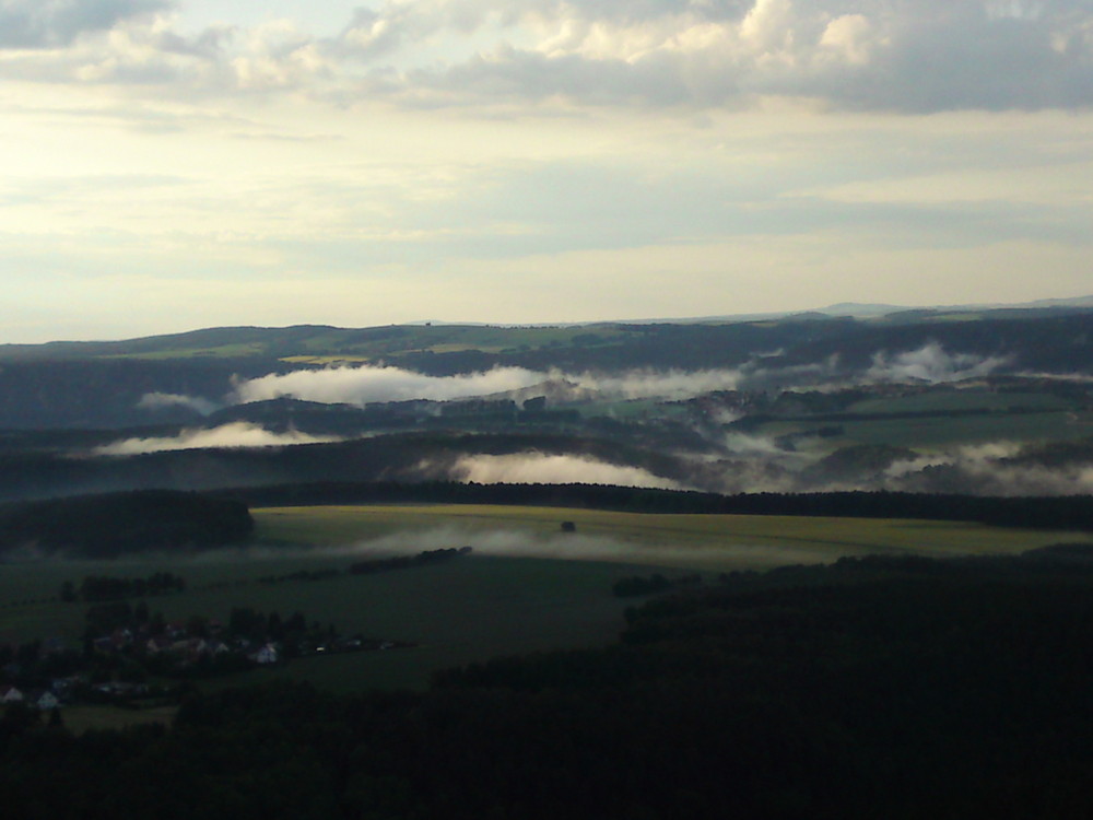 Nebel im Elbtal