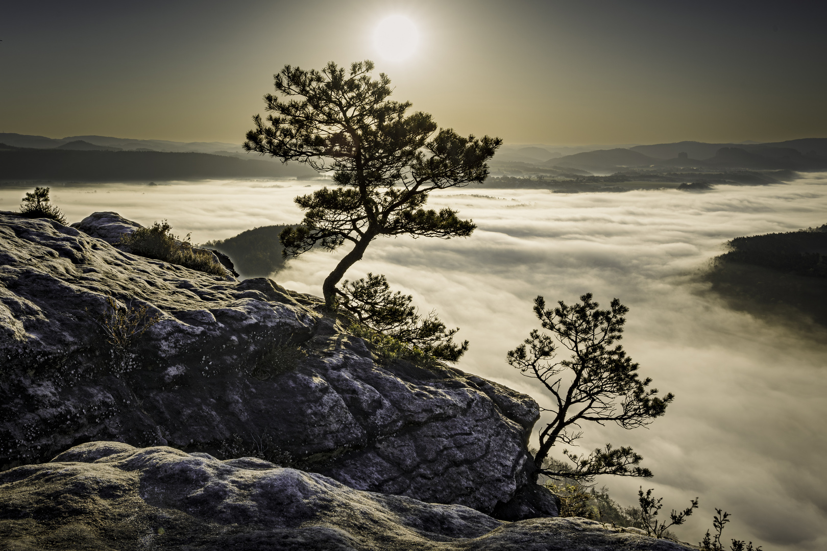 Nebel im Elbtal