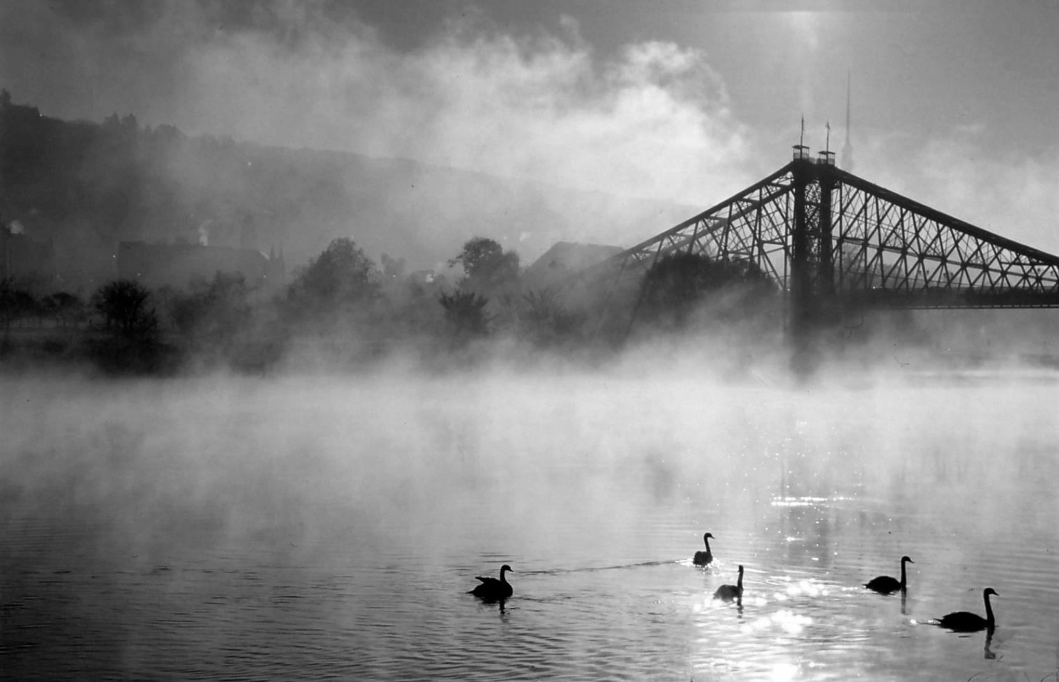 Nebel im Elbtal