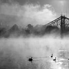 Nebel im Elbtal