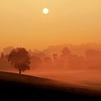 Nebel im Elfenland