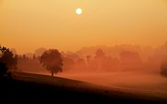 Nebel im Elfenland