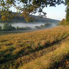 Nebel im Elm