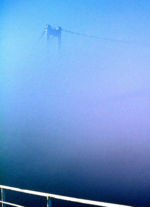Nebel im Fjord