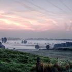 Nebel im Freisinger Moos