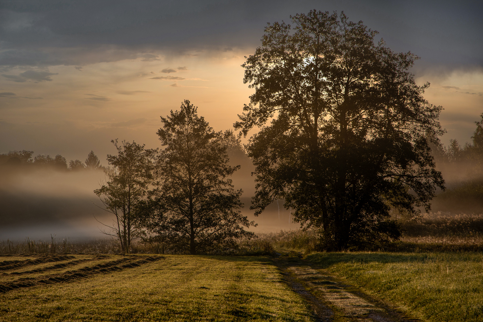 Nebel im Fünfseenland