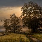 Nebel im Fünfseenland