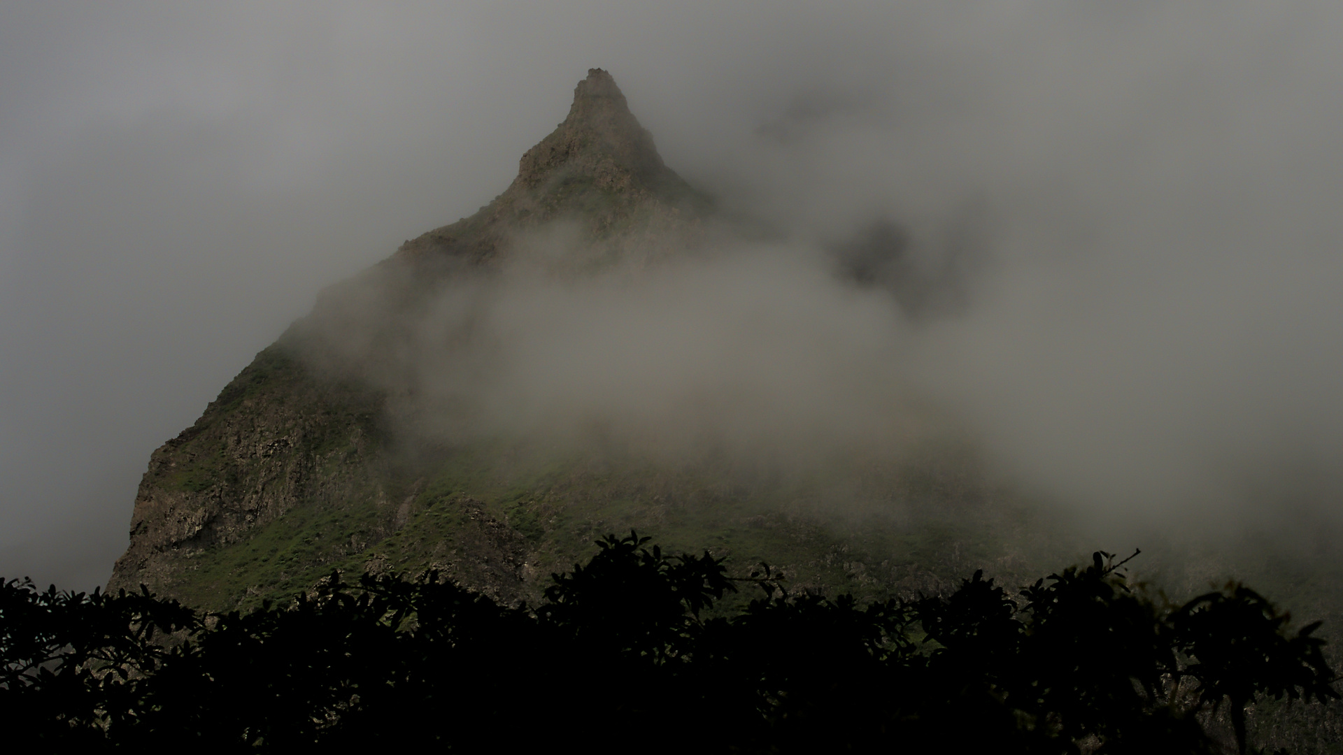 Nebel im Gebirge (1)