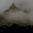 Nebel im Gebirge (1)