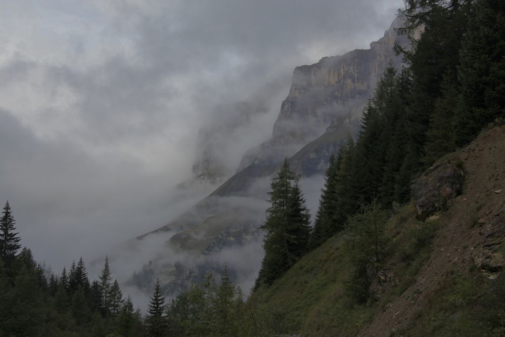 Nebel im Gebirge 2