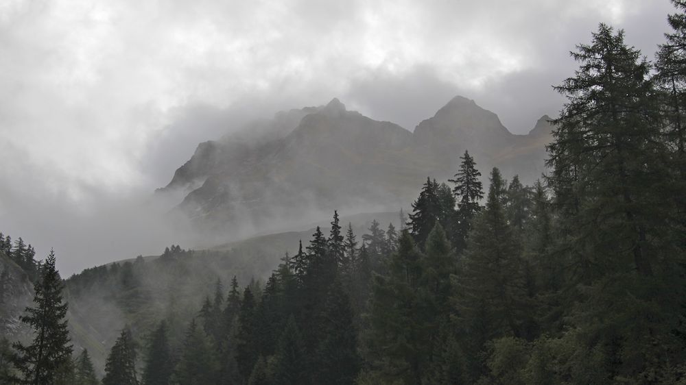 Nebel im Gebirge