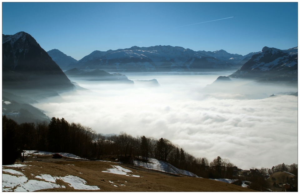 Nebel im Gegenlicht ...