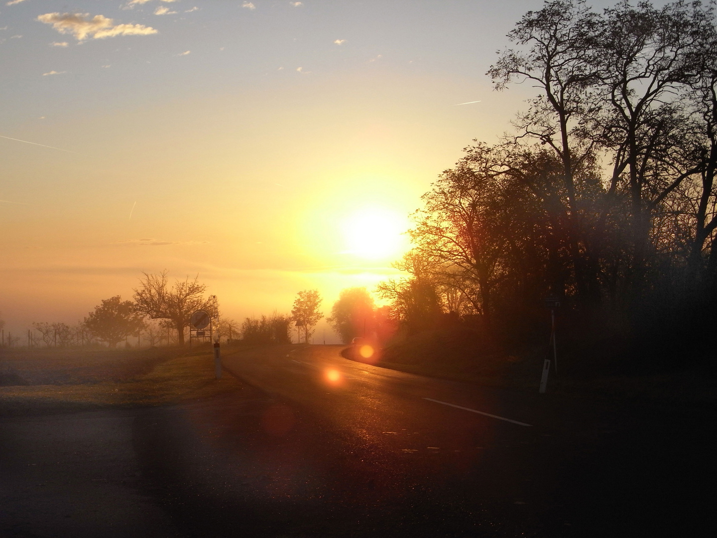 nebel im gegenlicht