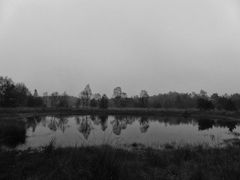 Nebel im Gildehauser Venn