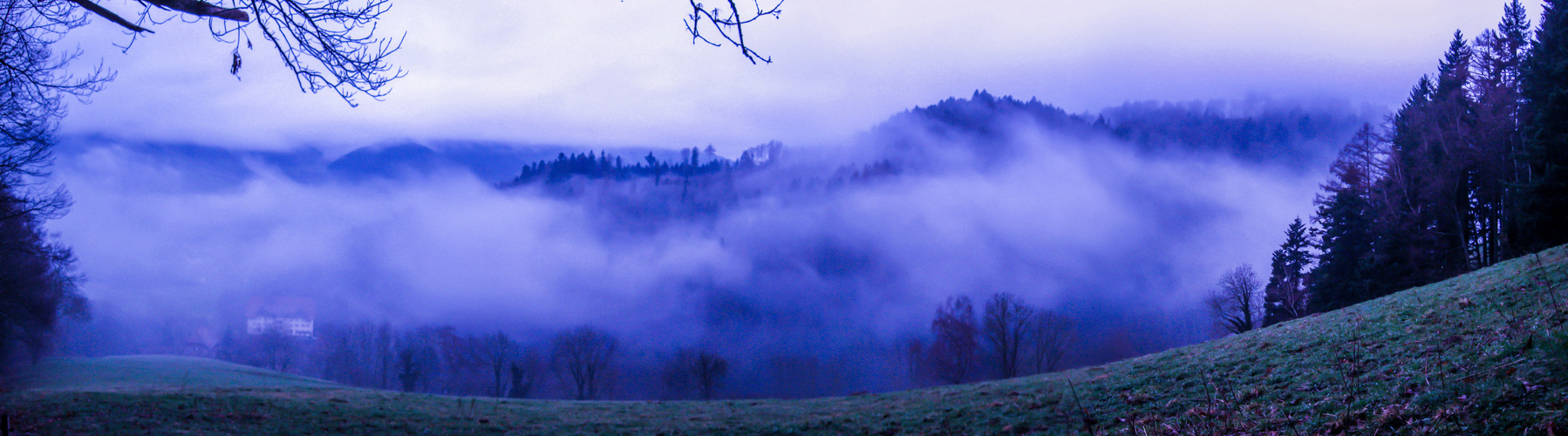 Nebel im Glottertal