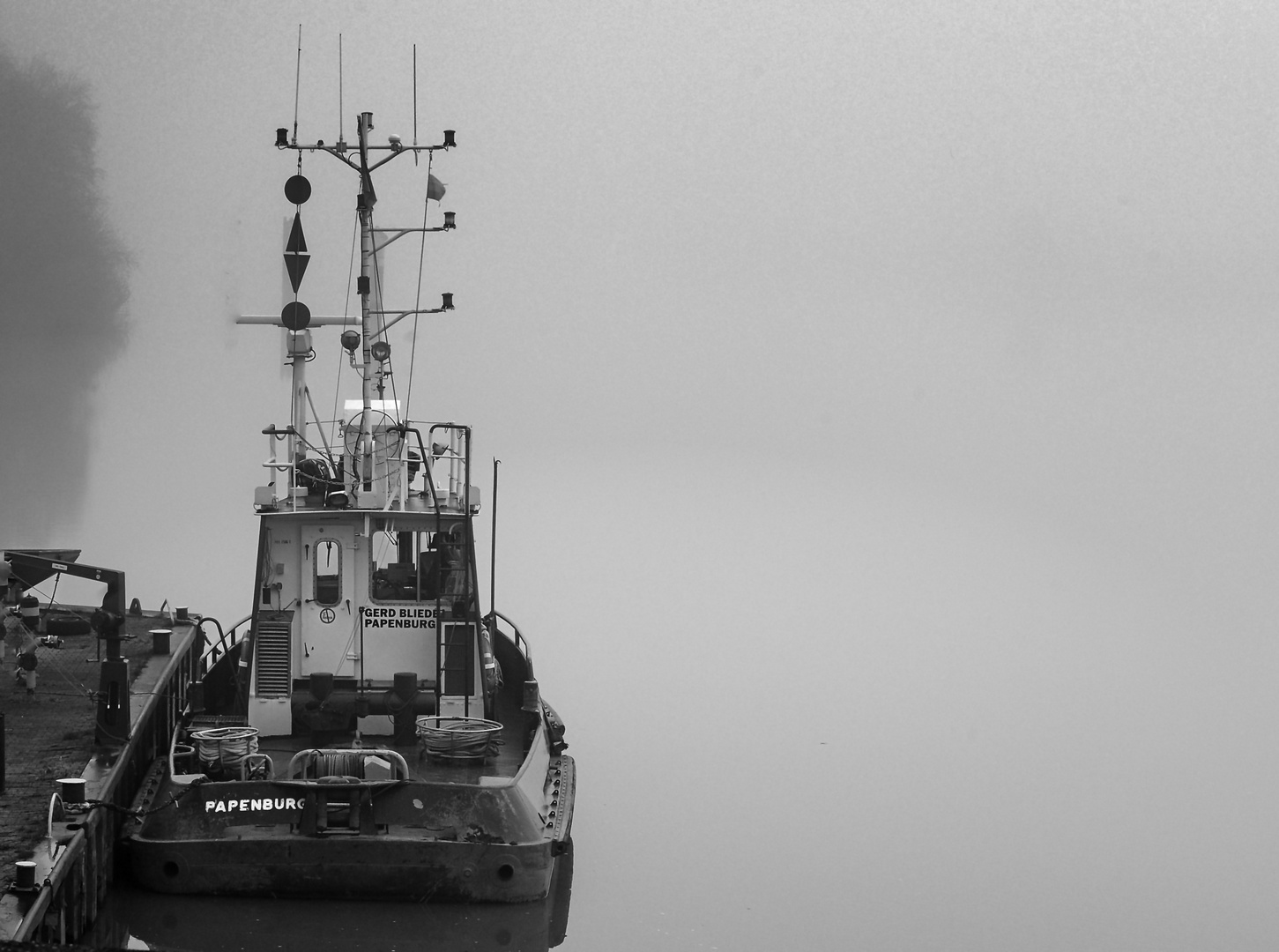 Nebel im Hafen.