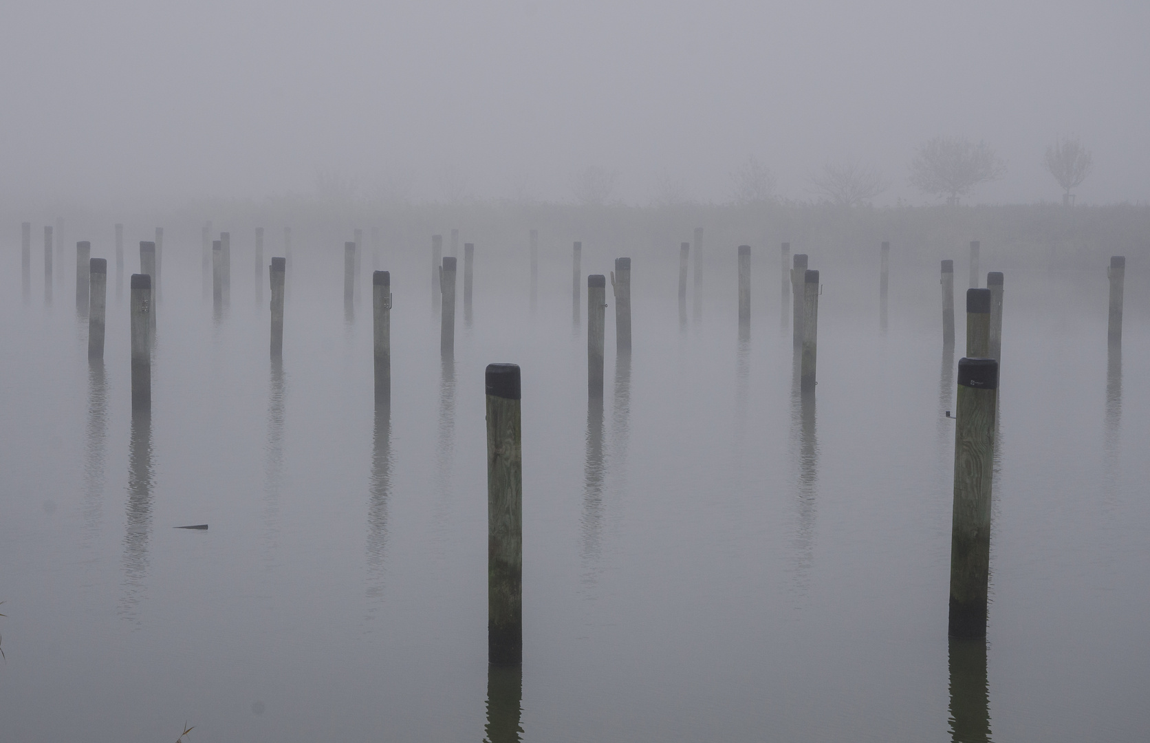 Nebel im Hafen