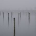 Nebel im Hafen