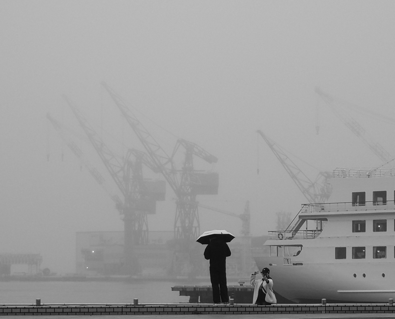 Nebel im Hafen