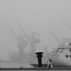 Nebel im Hafen