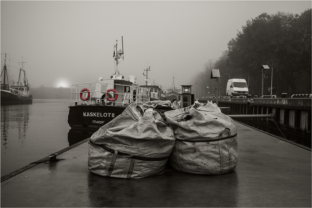 Nebel im Hafen