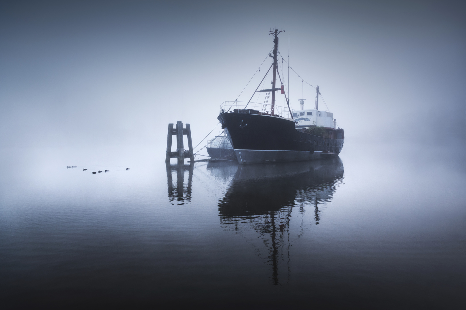 Nebel im Harburger Binnenhafen