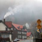 Nebel im Harz 2