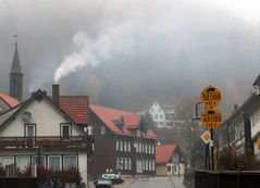 Nebel im Harz 2