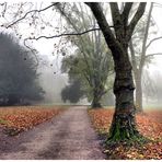 Nebel im Herbst